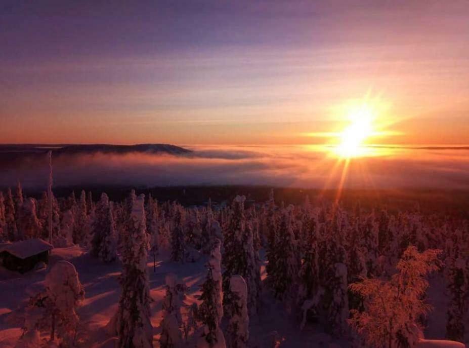 Arcticson / Pohjosen Poika Apartman Syöte Kültér fotó